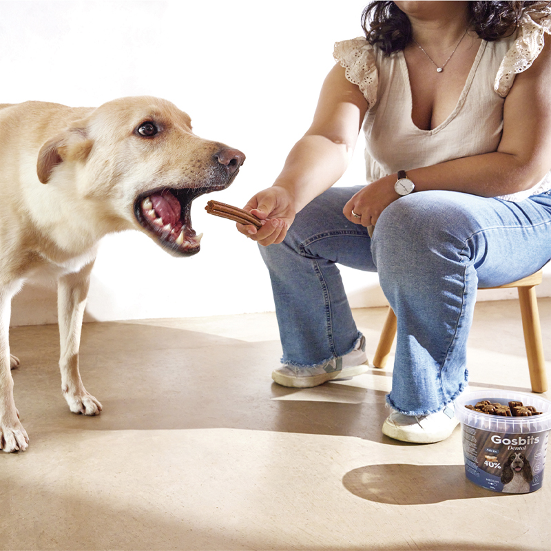 Sticks Dog Dental Medium